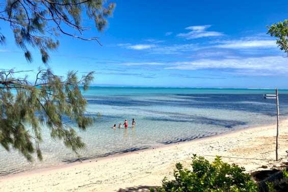 Risque requin : un nouveau dispositif de surveillance en bateau et en ULM à Nouméa et à Bourail