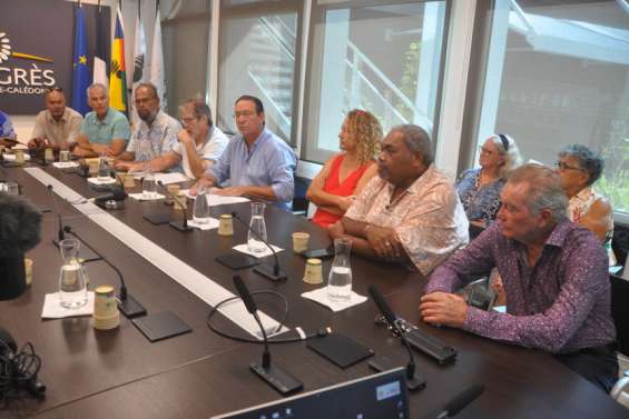 Avenir institutionnel : Calédonie ensemble présente ses convergences avec les indépendantistes