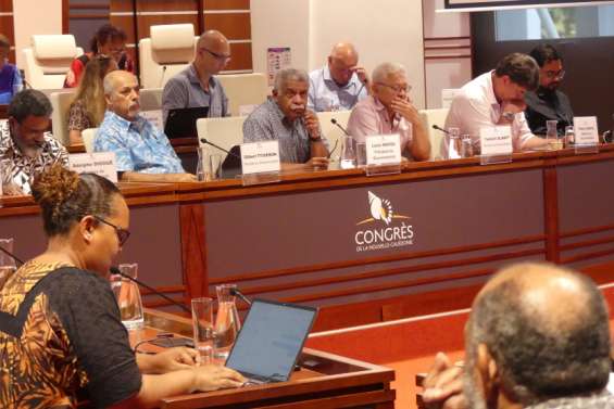 Le budget 2024 adopté à la majorité