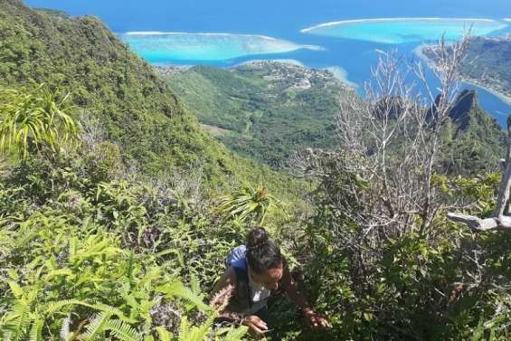 Tourisme durable : le 