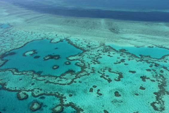 Australie : la Grande Barrière de corail subit un septième 