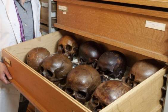 La Polynésie en quête de ses restes humains conservés en Métropole