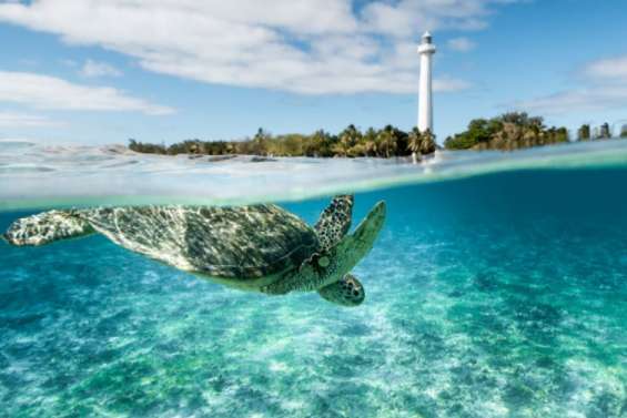 Cédric Jacquot, une créativité sans limite