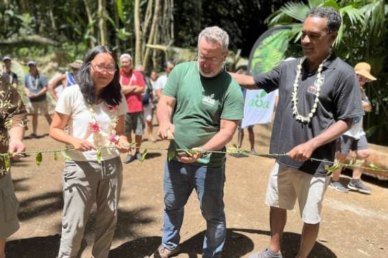 Polynésie : la première forêt éducative a été inaugurée dans la vallée de Mo’aroa