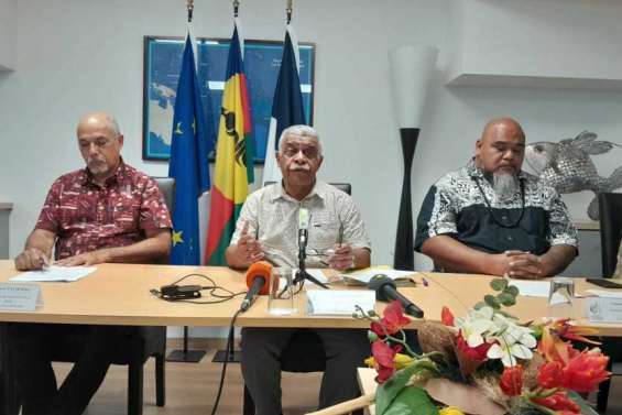 Que retenir du discours de Louis Mapou ?