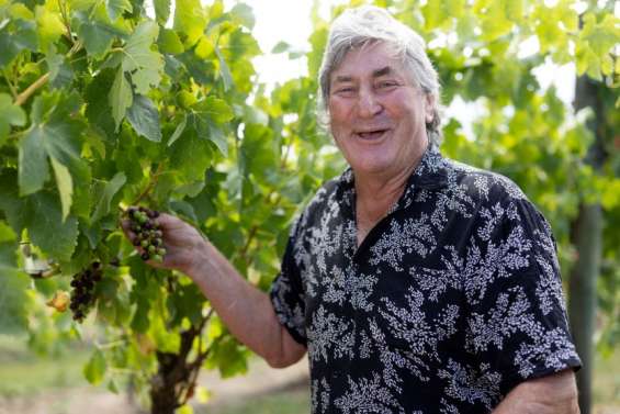 John Ashworth, l’ancien All Black devenu vigneron après une dégustation en France