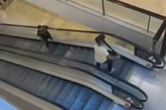 L'Australie offre la citoyenneté au 