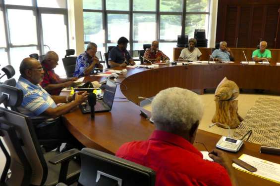 Charte du peuple kanak : dix ans après sa proclamation, une nouvelle assemblée dans un contexte 