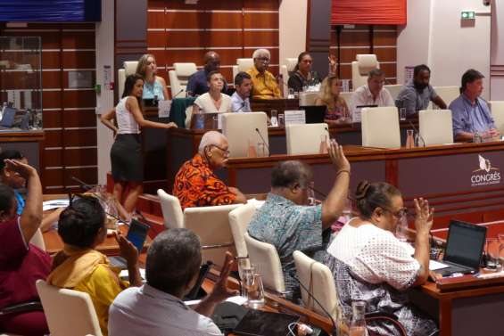 Taxe sur le sucre, redevances minières et taxe croisière au menu du Congrès