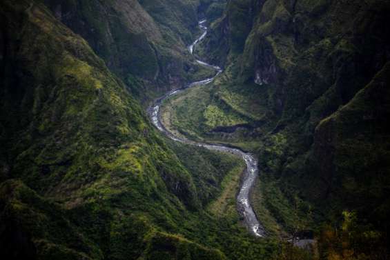 Sur l’île de La Réunion, sauver une flore unique au monde