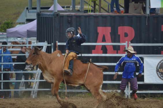 Concerts, Fête de la crevette, Festival de magie, salon du bien-être, Cluedo géant… nos idées de sortie du week-end