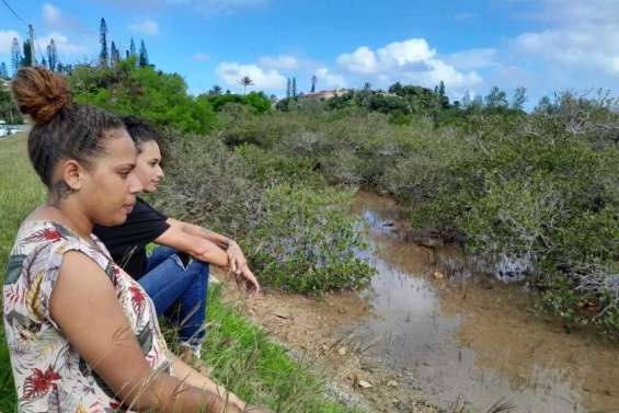 Ouémo : un chantier de destruction est lancé pour redonner vie à la mangrove