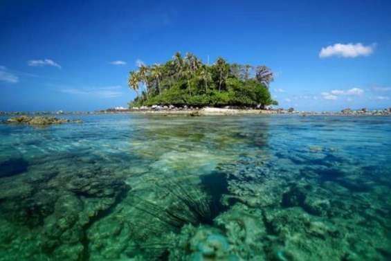 La Thaïlande ferme une île en raison du blanchissement des coraux