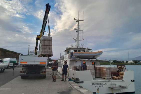 Pour ravitailler Nouméa, les produits locaux arrivent par la mer