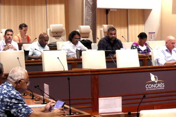 Dans l’urgence, le Congrès adopte des mesures exceptionnelles pour répondre à la crise