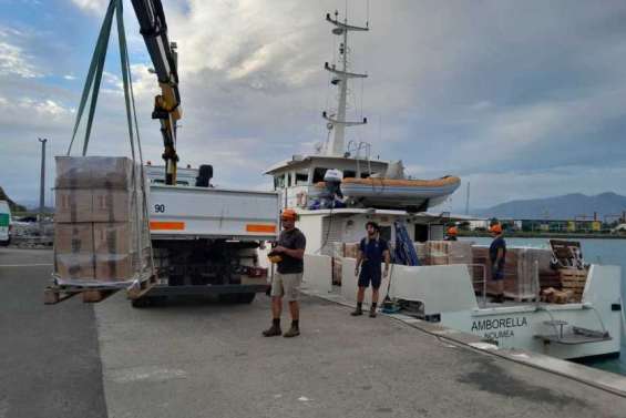 Approvisionnement en marchandises : une adresse mail pour envoyer ses demandes