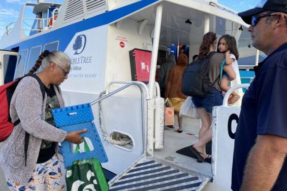 Au sud du Mont-Dore, 