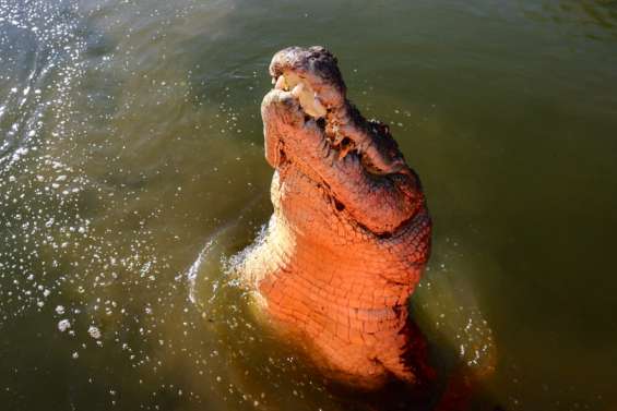 Australie : des restes humains retrouvés après la disparition d’une adolescente 