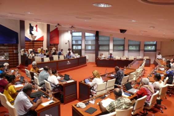 Quels messages ont fait passer les groupes politiques à la ministre des Outre-mer ?