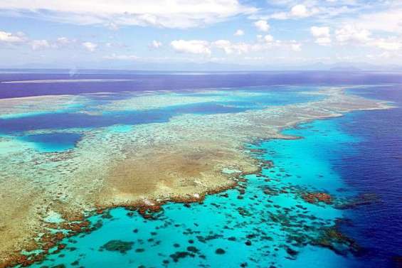 Grande Barrière de corail : la température de l’eau à son plus haut depuis 400 ans