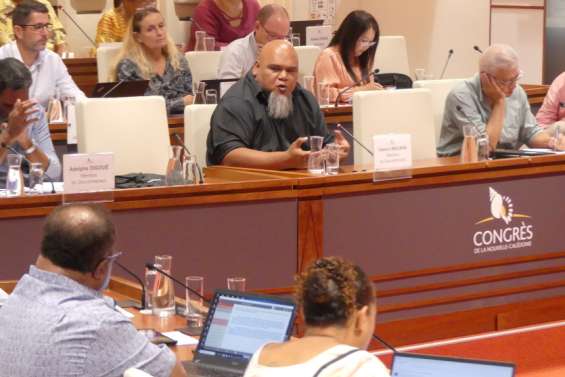 Vaimu’a Muliava démissionne du gouvernement