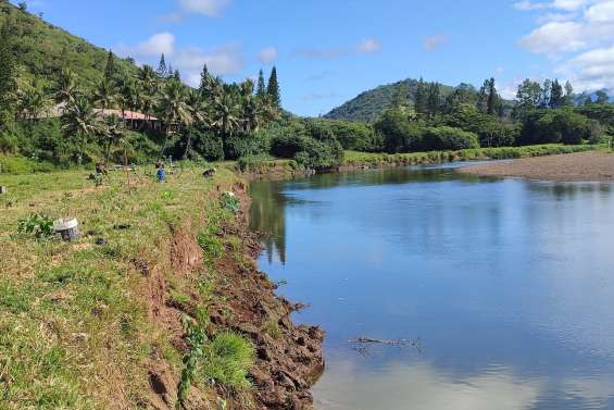 [MAGAZINE] Projet Perenne : un premier bilan très prometteur pour la restauration des berges de la Néra