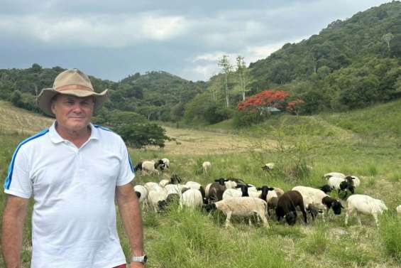 [MAGAZINE] Angelo Devaud, l’homme qui compte les moutons