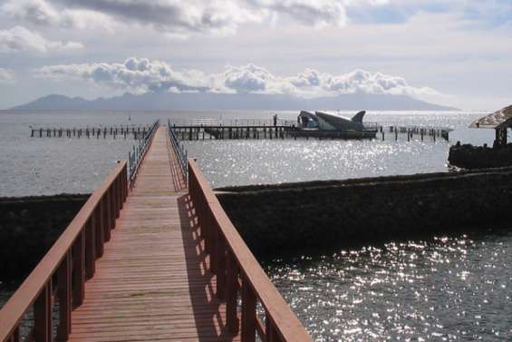 Tahiti : neuf requins détenus illégalement en cage dans le lagoonarium de Punaauia