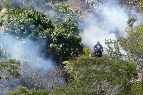 Nouméa : un feu de végétation en cours dans la vallée de Sakamoto