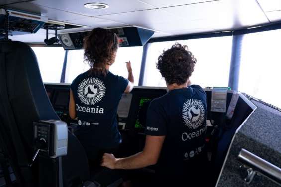 Polynésie : l’association Oceania veut limiter la vitesse des bateaux pendant la saison des baleines