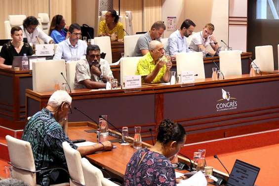 Le Congrès adopte une aide à l’énergie au bénéfice des chômeurs