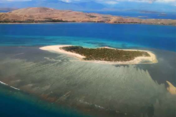 La Fondation de la mer lance un fonds d'urgence pour la biodiversité en Nouvelle-Calédonie après les émeutes