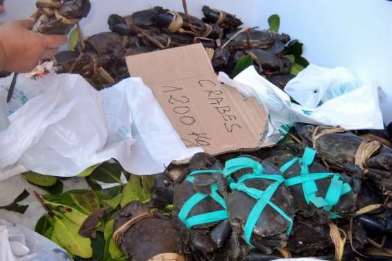 La pêche aux crabes de palétuvier est interdite pendant deux mois