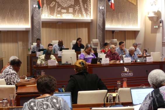 Altercation, suspension de séance, départ des indépendantistes… Récit d’une journée tendue au Congrès
