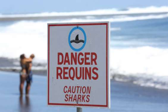 Australie : un surfeur disparu en mer, probablement victime d’une attaque de requin