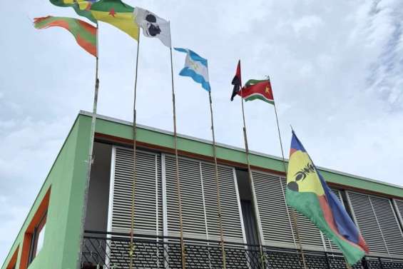 Les indépendantistes d'outre-mer actent la création d'un Front international de décolonisation