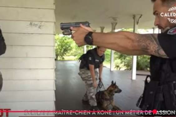 La maison Célières rouvre au public, immersion avec une maître-chien...Le JT de Calédonia du 27 janvier