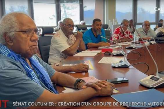 Tanéo, Sénat coutumier, budget de Touho… Retrouvez le JT de Caledonia du jeudi 6 février