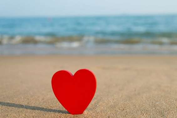 Quelques idées de sorties pour ce 14 février, à deux, ou seul(e)