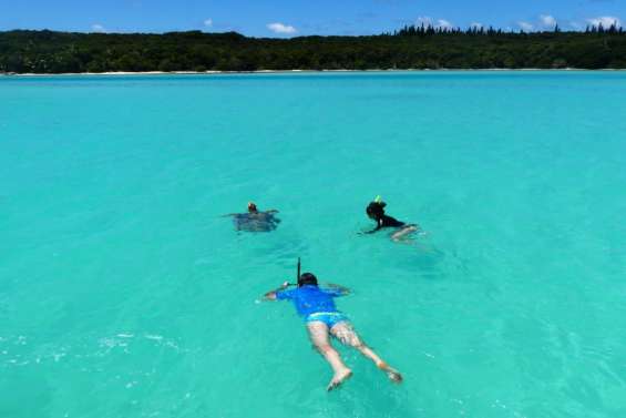 [INFOGRAPHIES] La fréquentation touristique s’est effondrée en 2024