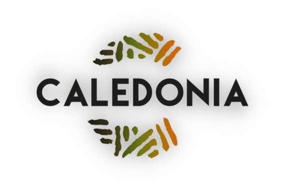 Caledonia ne diffusera plus les programmes de M6 et de TF1