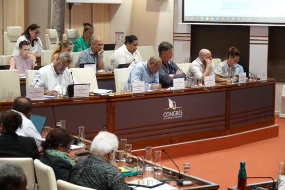 Budget de la Nouvelle-Calédonie : les opposants expliquent leur vote