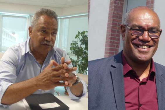 Samuel Hnepeune délègue la compétence du transport aérien domestique à Alcide Ponga