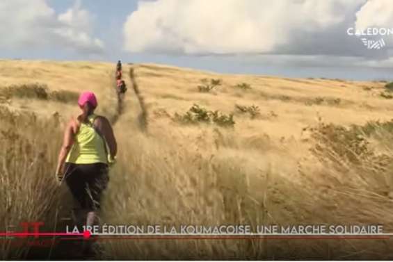 Première édition de la Koumacoise, lutte contre les insectes nuisibles à Maré… Le JT de Caledonia du 29 mai