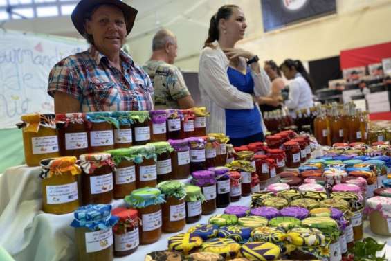 Des salons, de la culture, des avions… L’agenda du week-end