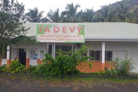 Yaté : l’Adevy, un outil au service du développement menacé de disparition