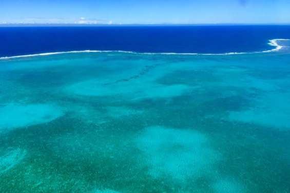 Très grandes aires protégées : leur efficacité scientifiquement prouvée