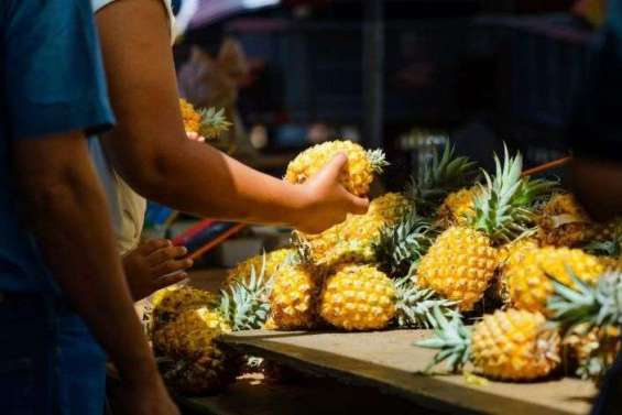Taches noires dans les ananas : la filière annonce des mesures d’urgence