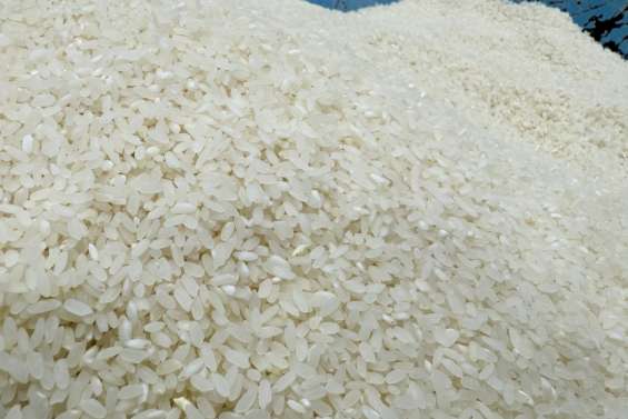 [MAGAZINE] Le riz calédonien : un savoir-faire local bien rôdé