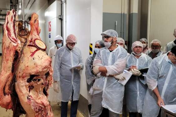 Une carcasse vendue 2,95 millions de francs à l'Ocef, un record